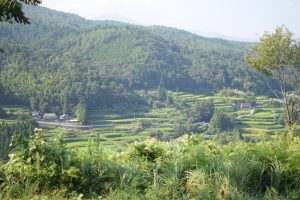 高知の限界集落大石