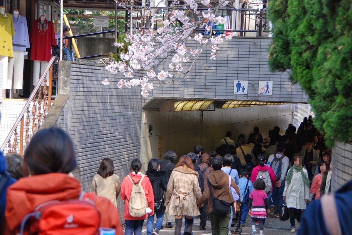 DSC_0040.jpg ふはは、人がゴミのようだ