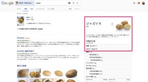 画像検索してみたらじゃがいも