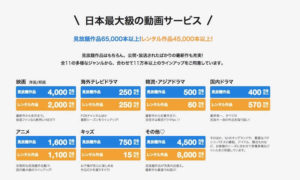 日本最大級の動画サービス