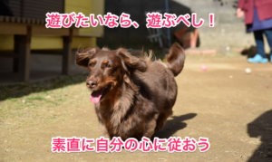 遊べ